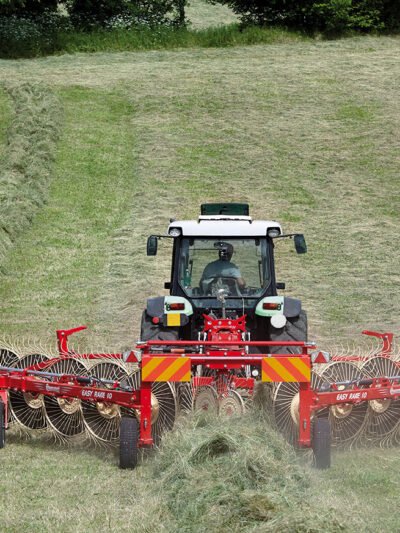 Hay and Forage